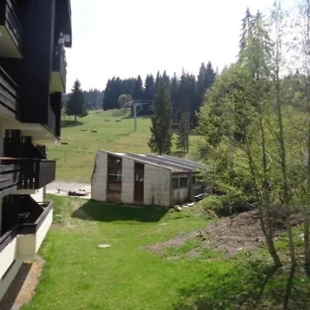 Grand Tetras 3 Apartment Morillon